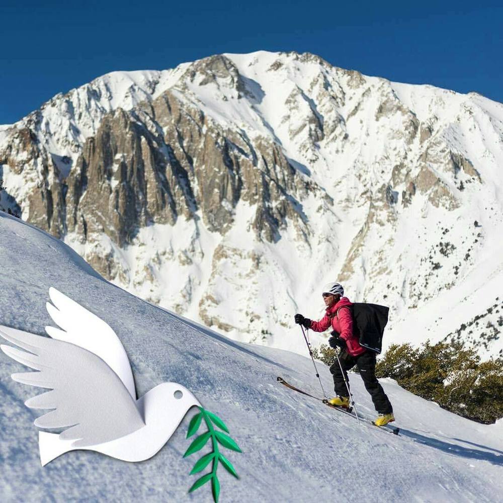 Meet your Posher, Teresa